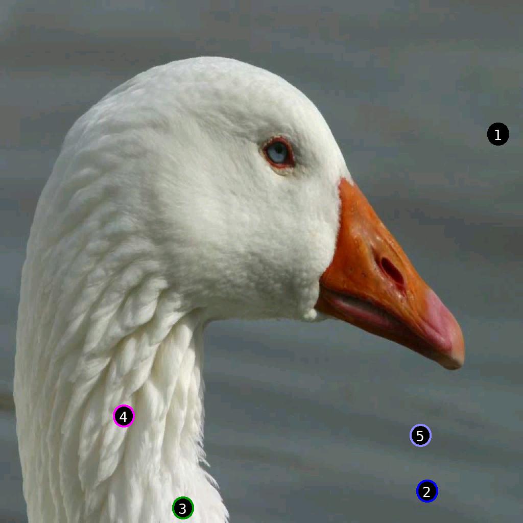 sat pic of Floppy Dgunv4